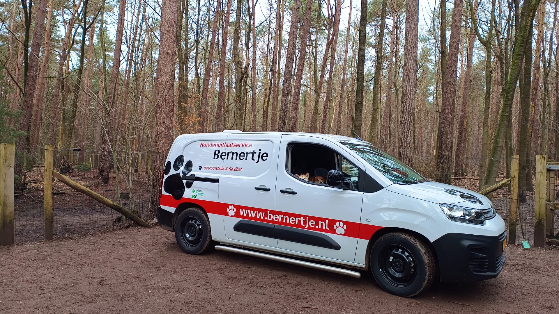 onze elektrische Berlingo