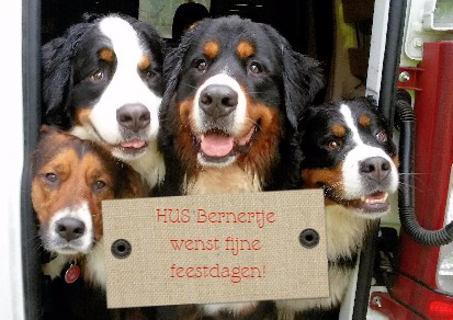 Hondenuitlaatservice "Bernertje" Bedankt voor een geweldig 2015!!! Ik ben erg blij met mijn werk en al mijn trouwe klanten en "doggies"... Fijne feestdagen en een voorspoedig nieuw wandeljaar.. ...op naar 2016!