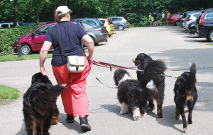 wandelen met 4